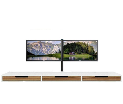 Dual set dell e1916he - dual, 2x