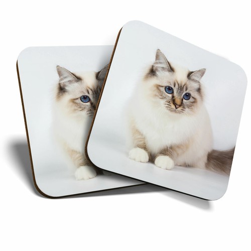 Coasters sacred birman - x,