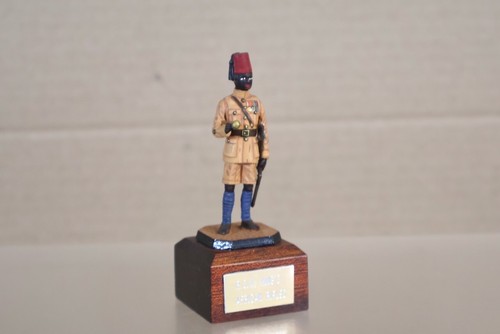 Rose miniatures king - king's, african