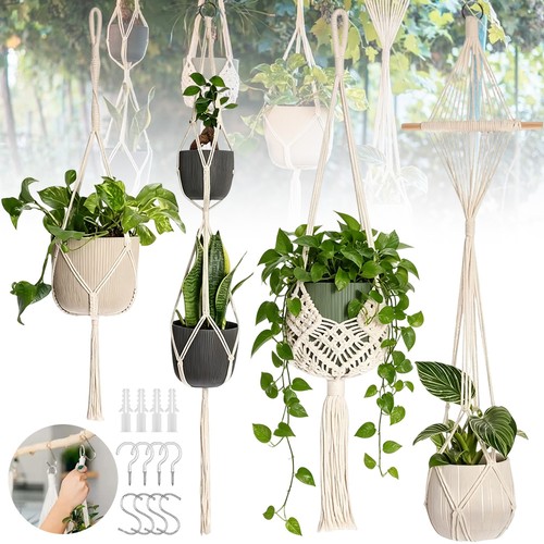 Hanging plant hanger - 4x,