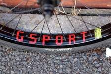 G-Sport Rollcage + Wethepeople Hub - BMX Front wheel - Flatland used- Gsport WTP