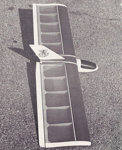 Little plank sailplane - sailplane, or