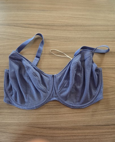 Curvy kate sheer mesh lace - kate,
