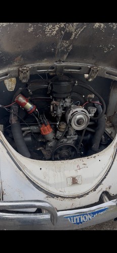 Volkswagen beetle aircooled - volkswagen,