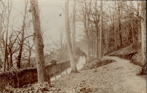 Colwyn bay the woods - -,