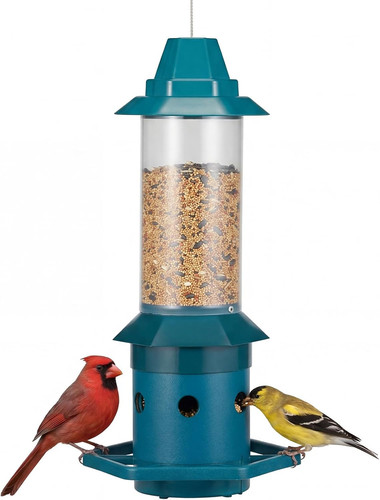 Squirrel proof bird feeder - squirrel-proof,