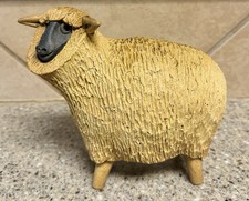 Black Faced Sheep Scottish