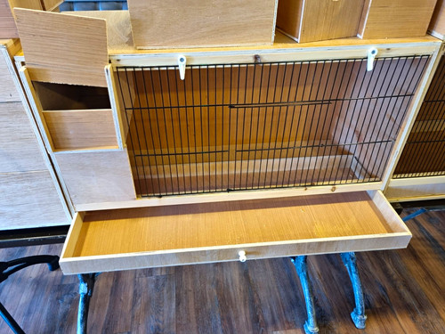 Budgie breeding cage - breeding,