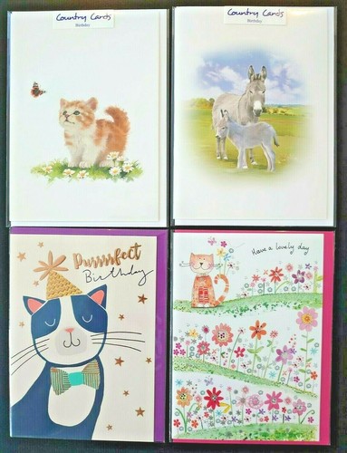 Birthday card donkey - birthday, cat