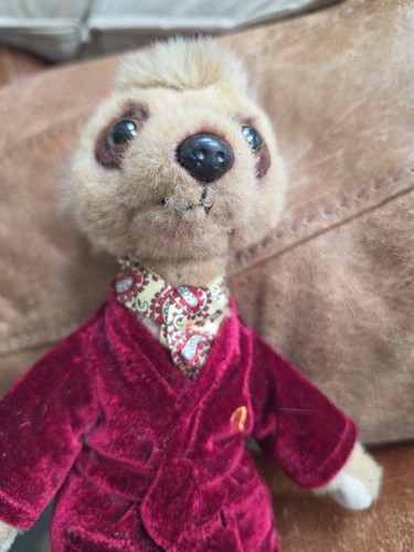 Meerkat aleksandr meercat - aleksandr,
