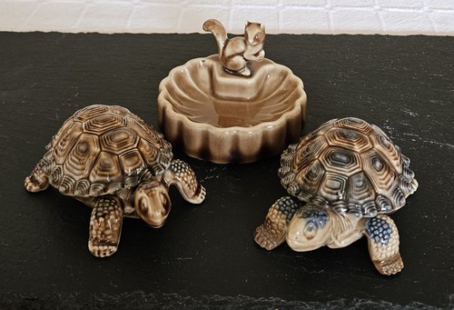 Wade tortoises and trinket - wade,