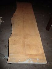 BOARD WANEY EDGEd 10 foot long Solid BEECH 30" to 18" wide x 1 1/4" thick