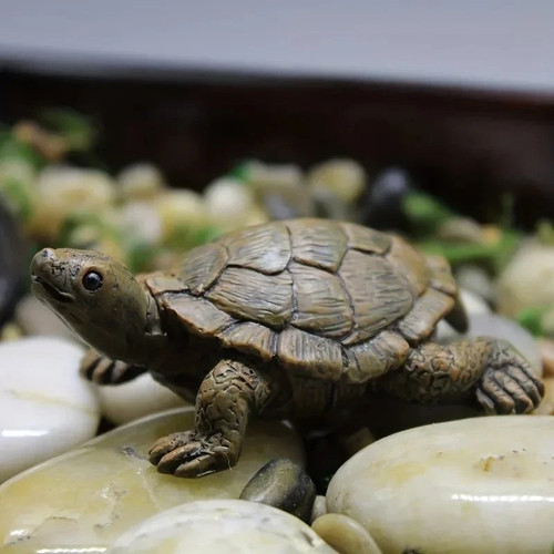 Turtle tortoise art outdoor - turtle,