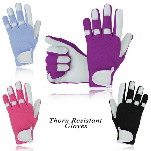 Thorn proof gardening gloves - thorn,
