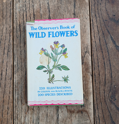The observer book - the, wild