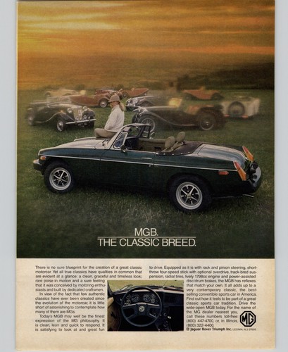 1980 vintage car print - vintage,