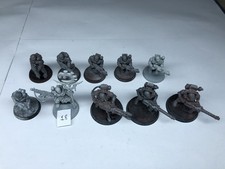 Neophyte Hybrids (x10) -