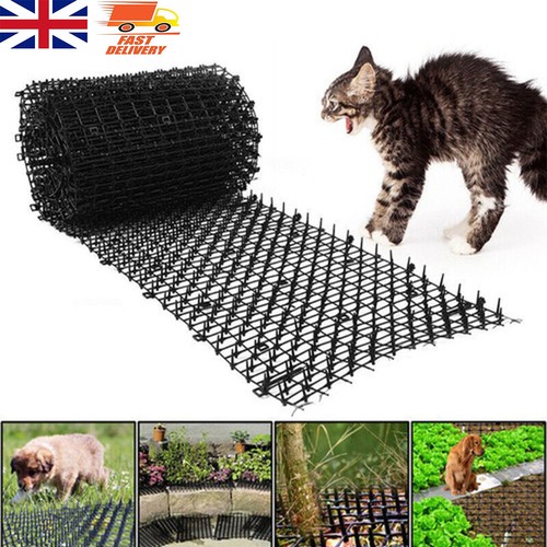 Cat scat mat - 2m,