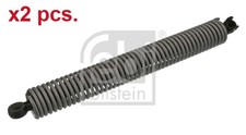 X2 PCS RIGHT TAILE GATE GAS