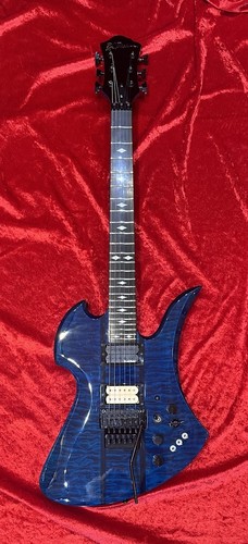Rich mockingbird - b.c.,