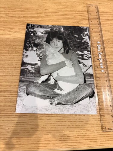David cassidy partridge family - cassidy,