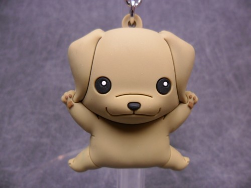 Monogram puppies new - puppies, *