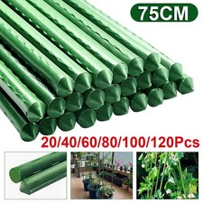 20Pack 75cm Hydroponics Garden