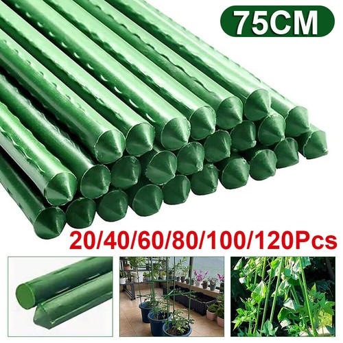 20pack 75cm hydroponics garden - 75cm,