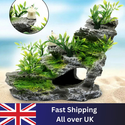 Aquarium fish tank - aquarium, decor