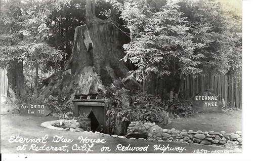 Rppc real photo postcard - real,