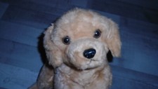 Nature Babies Golden Retriever Puppy Soft Plush Toy Dog Large Size 16"