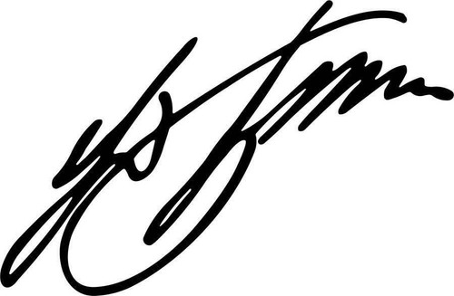 15cm ferdinand porsche - ferdinand,