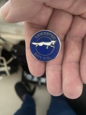 Leicester City Pin Badge Great