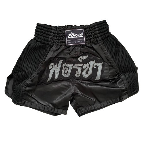 Forza muay thai - forza, small