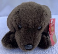 Keel soft laying puppy Dog