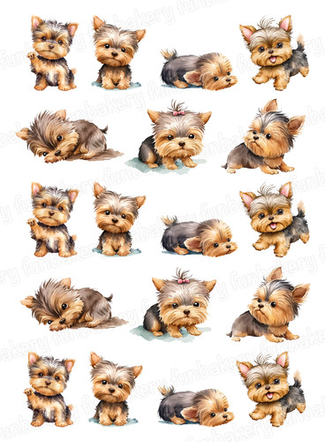 Yorkshire terrier dog cake - yorkshire,
