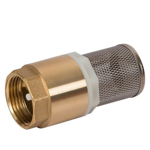 Brass check valve - check, spring
