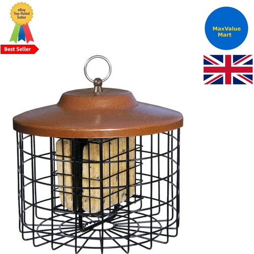 Cage design squirrel double - squirrel-x,