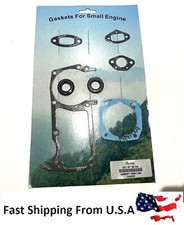 Gasket set with oil seals for