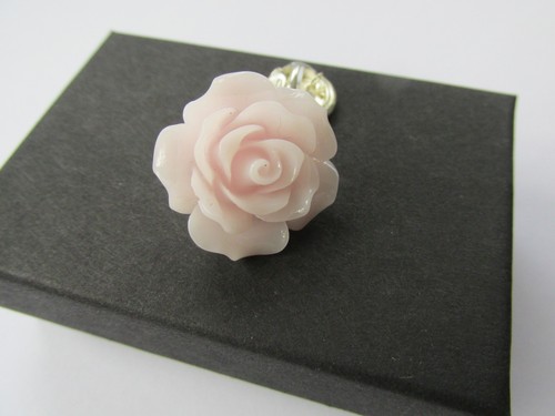 Pretty pale baby pink rose - pale,