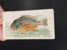 FISH: 1910 American Tobacco Co