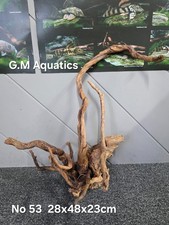 Red moor / Azalea wood No 53