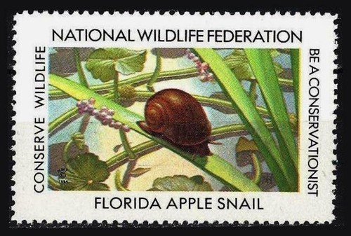 National wildlife federation - national,
