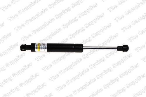 Lesjofors 8095806 bonnet gas - lesjofors,