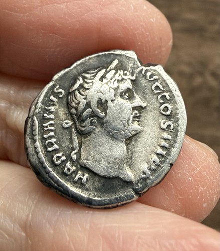 Roman hadrian - hadrian, (117-138