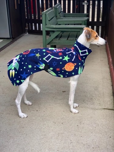 Spaceman fleece dog coat - 28”spaceman,