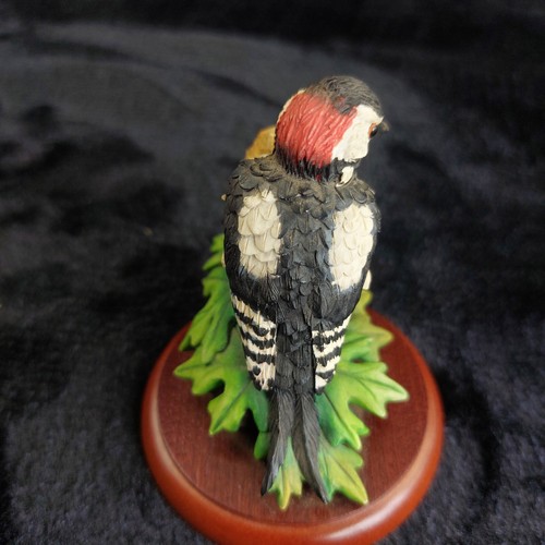 Border fine arts great spotted - fine,