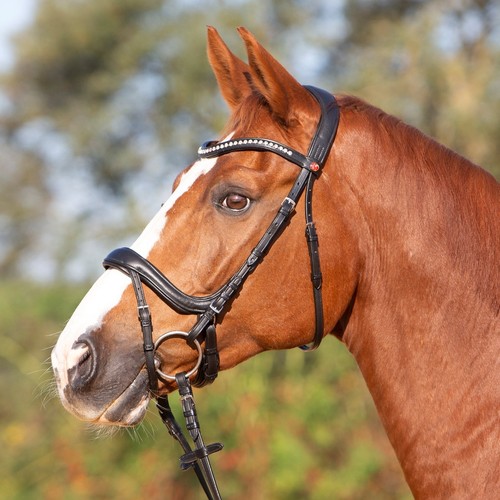 Kieffer ultrasoft amy bridle - ultrasoft,