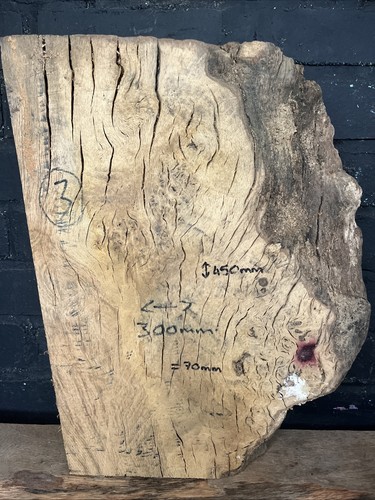 Waney edge burr oak - burr,