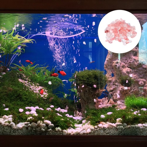 Fish tank pebble stone - tank,